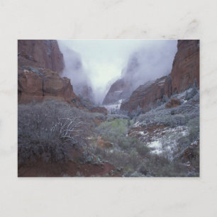 Postal NA, EE. UU., Utah, Zion NP, tormenta de nieve de p