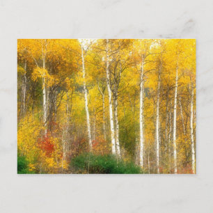 Postal NA, EE. UU., Washington, Árboles de Aspen otoñales