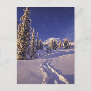 Postal NA, EE. UU., Washington, Mt. Rainier NP, raquetas