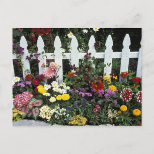 Postal NA, EE. UU., Washington, Sammamish, cerca blanca