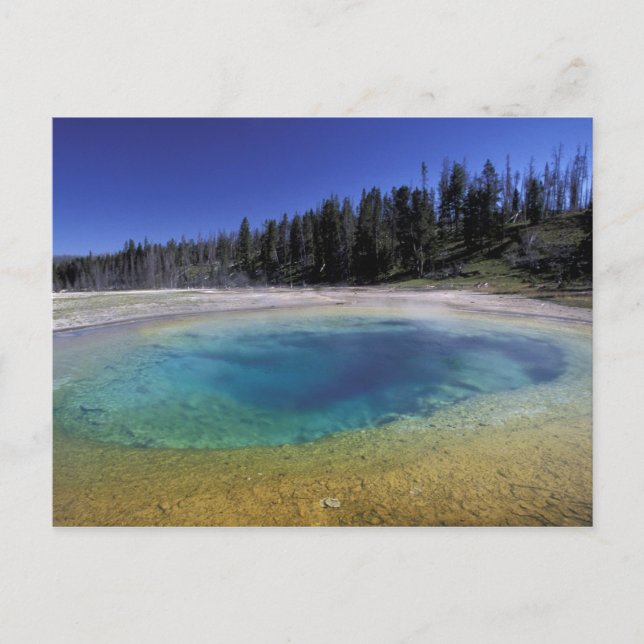 Postal NA, EE.UU., Wyoming, Parque Nacional Yellowstone.  (Anverso)