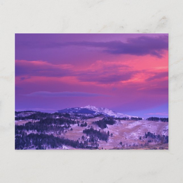 Postal NA, EE. UU., Wyoming, Yellowstone NP, Lamar Valley (Anverso)