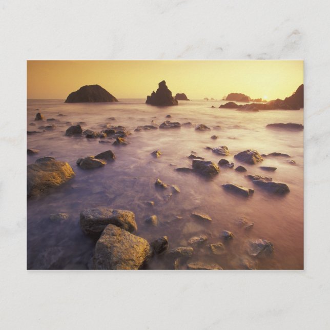 Postal NA, Estados Unidos, California, California del Nor (Anverso)