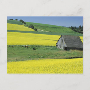 Postal NA, los E.E.U.U., Idaho, cerca de Potlatch, de