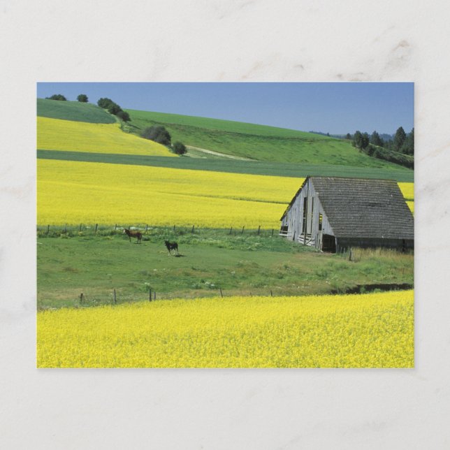 Postal NA, los E.E.U.U., Idaho, cerca de Potlatch, de (Anverso)