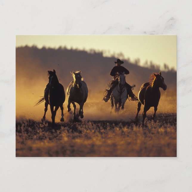 Postal NA, los E.E.U.U., Oregon, Seneca, rancho de (Anverso)