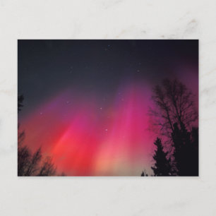 Postal NA, USA, Alaska, Fairbanks, Cortinas de rosa y