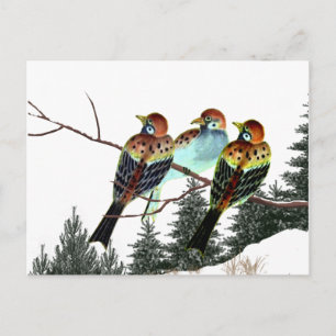 Postal Nace una estrella