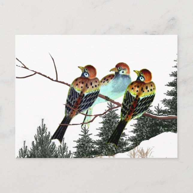 Postal Nace una estrella (Anverso)