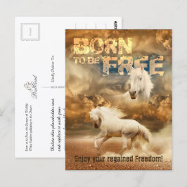 Postal Nacido para ser libre, la belleza de la vida silve
