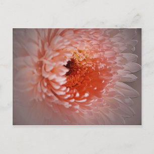 Postal Nacido para tener éxito