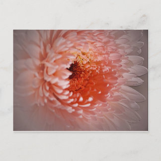 Postal Nacido para tener éxito