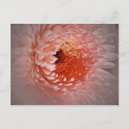 Postal Nacido para tener éxito