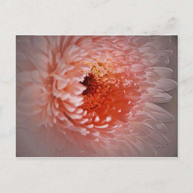 Postal Nacido para tener éxito (Anverso)