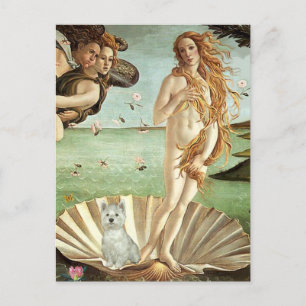 Postal Nacimiento de Venus - Westie (S)
