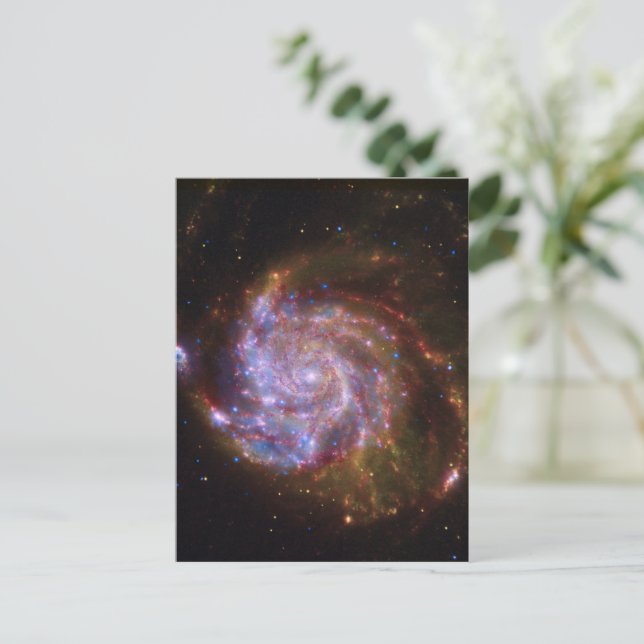 Postal Nacimiento estelar en el volante: Galaxia M101 (Anverso de pie)