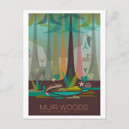 Postal nacional del Monumento a Muir Woods