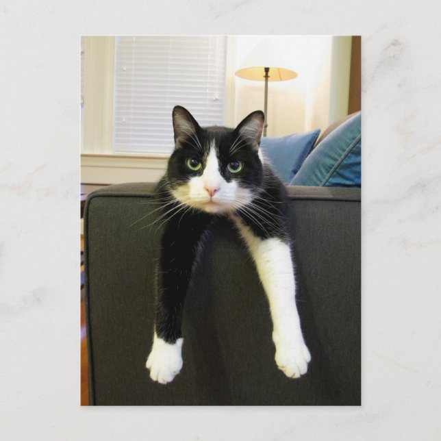 Postal Nada que hacer (Anverso)