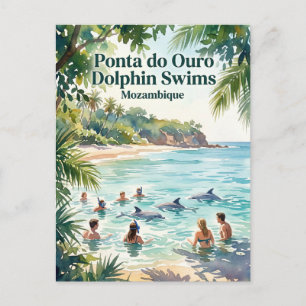 Postal Nadando con delfines en Ponta do Ouro Mozambique