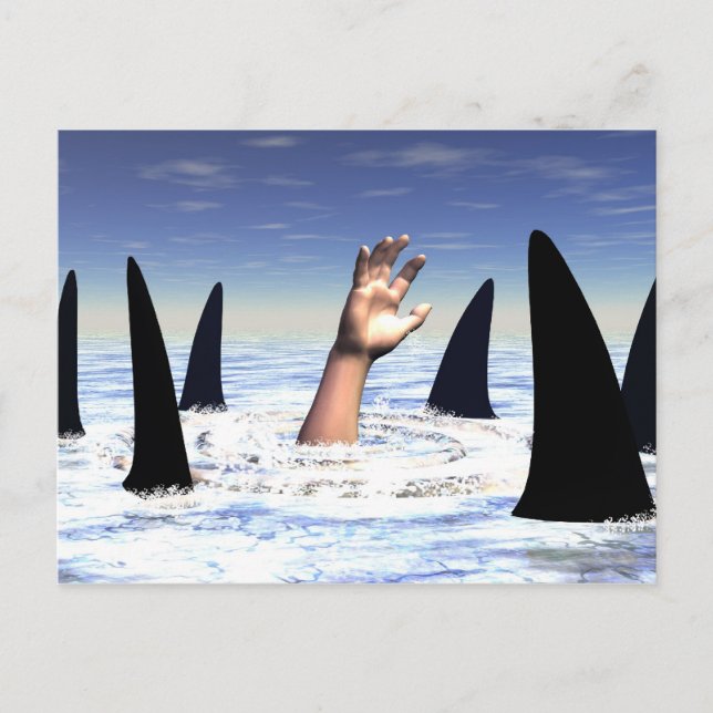 Postal Nadando con tiburones (Anverso)