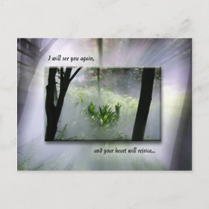 Postal Nadie se tomará tu alegría