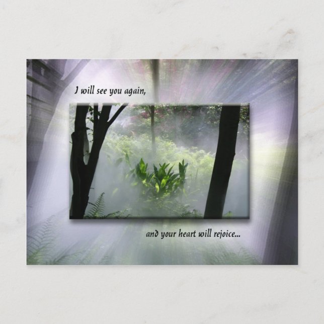 Postal Nadie se tomará tu alegría (Anverso)