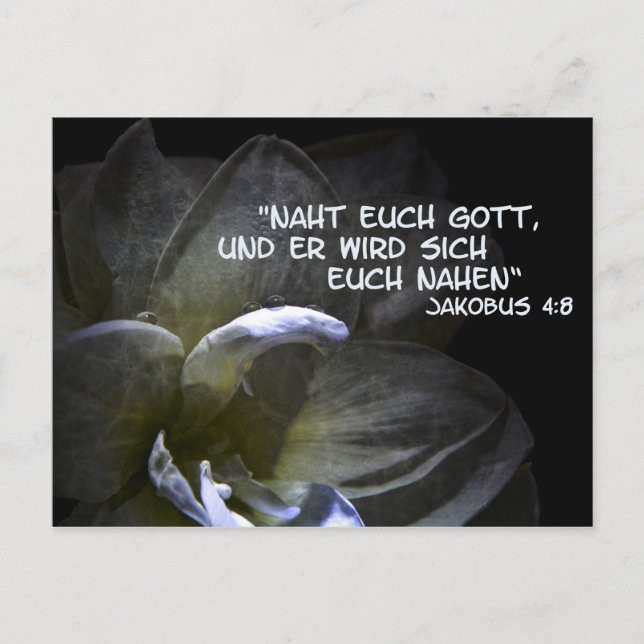 Postal Naht euch Gott (Anverso)