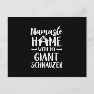 Postal Namaste Home Giant Schnauzer - Schnauzer Lover