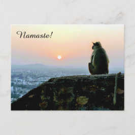 Postal Namaste Meditación: Mono de Yoga en India al atard