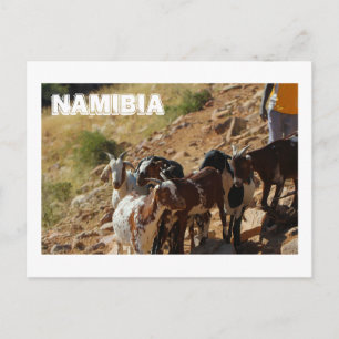 Postal Namibia África Cabras paisajísticas namibianas