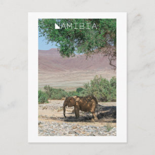 Postal Namibia África Huab Río Elephant Damaraland