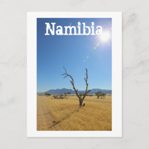 Postal Namibia Marienfluss Savannah Paisaje Naturaleza