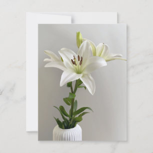 Postal Nana de lirio   Pintura floral simple blanca