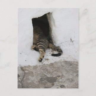 Postal Nap