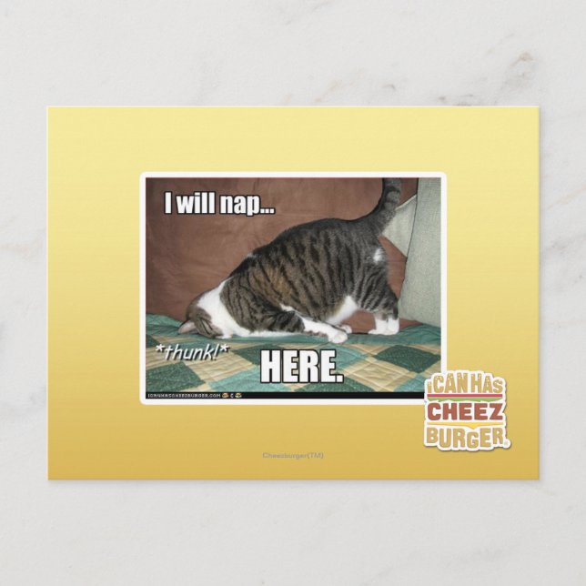 Postal Nap aquí (Anverso)