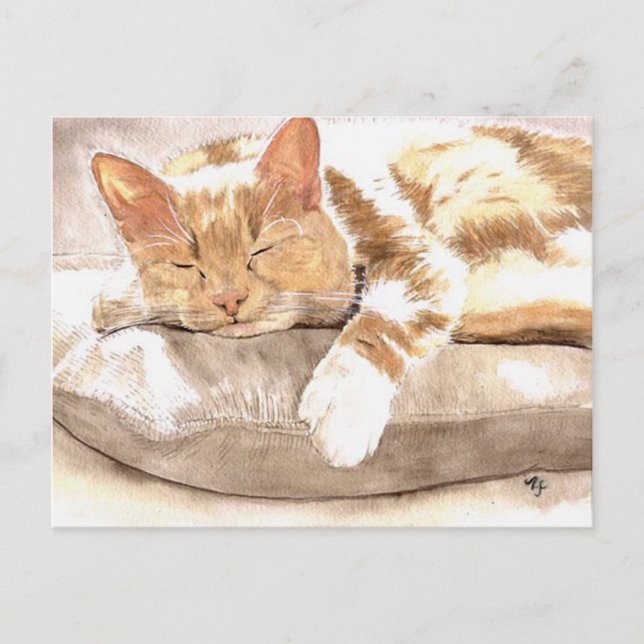Postal Nap Cat (Anverso)
