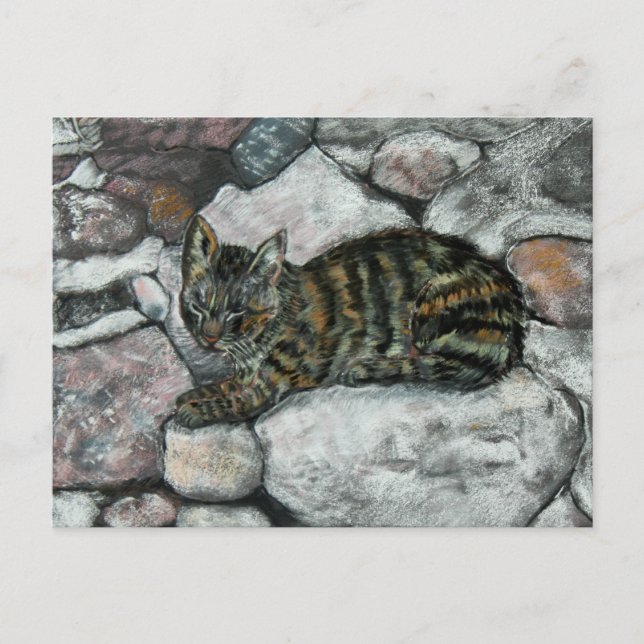 Postal Napa de gato (Anverso)