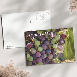 Postal Napa Valley Vineyard Red & Green Grapes