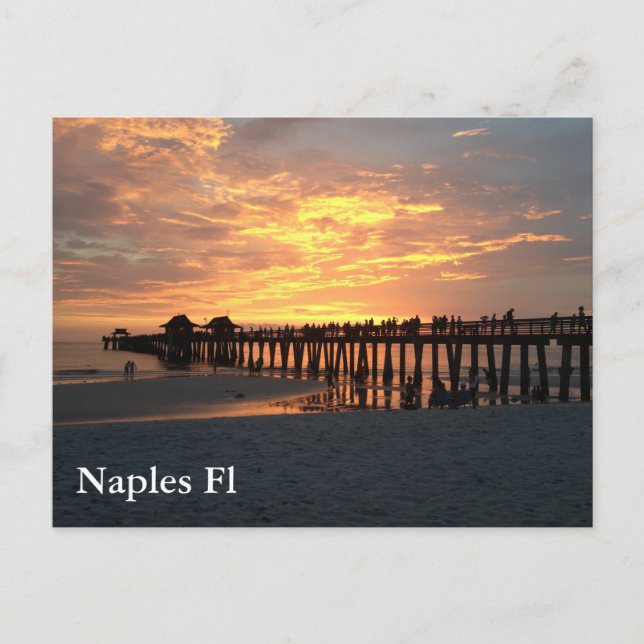 Postal naples fl photo sunset (Anverso)