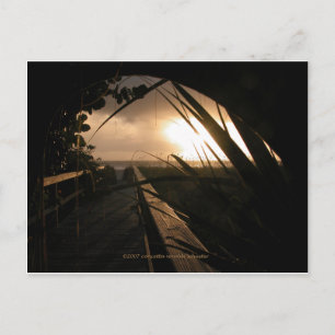 Postal Naples Sunset