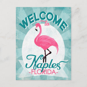 Postal Nápoles Florida Flamingo rosa - Viaje retro vintag