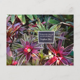 Postal Nápoles Florida Jardín Botánico Stephen Dias Cita