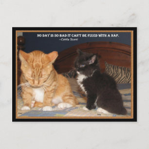 Postal ¡Naptime!