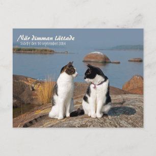 Postal När dimman lättade CC0547 Sideby Postcard