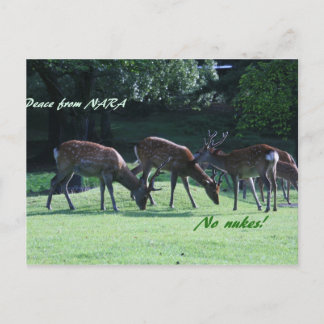 Postal Nara IMG_1699