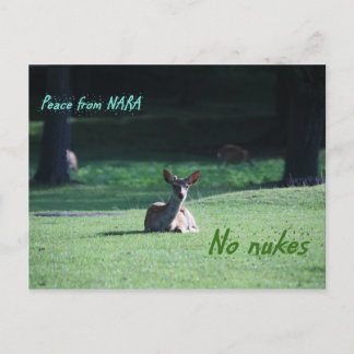 Postal Nara IMG_1713