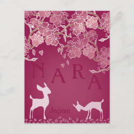 Postal Nara Japan Sakura Deer Hand Illustrated