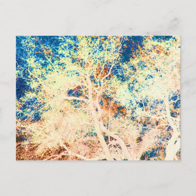 Postal Naranja abstracto de árbol y fondo azul (Anverso)