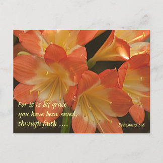 Postal Naranja Amaryllis