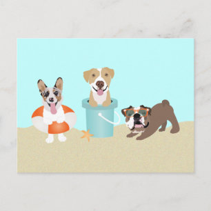 Postal Naranja azul de perros de verano de playa